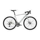 Cannondale Synapse Disc Sora 2020