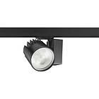 Concord Beacon XXL Narrow Beam 21°