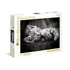 Clementoni Puslespill High Quality Collection Kitty 1000 Brikker