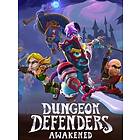 Dungeon Defenders: Awakened (PC)