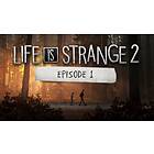 Life is Strange 2 (PC)