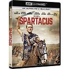 Spartacus (UHD+BD)