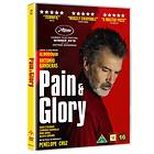 Pain and Glory (DVD)