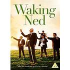 Waking Ned (DVD)