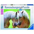 Ravensburger Tender Moment 1000 Bitar