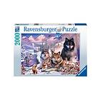 Ravensburger Wolves In The Snow 2000 Brikker