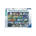 Ravensburger Poisons And Potions 2000 Brikker