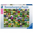 Ravensburger 99 Herbs And Spices 1000 Bitar