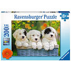 Ravensburger Pussel Cuddly Puppies 200 Bitar