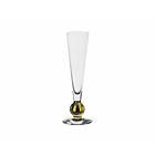 Orrefors Nobel Champagne Glass 18cl