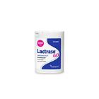 Lactrase Go 50 Tablets