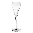 Exxent Open Up Champagneglas 20cl