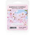 Kringle Candle Cherry Blossom Wax Melts 6st