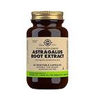 Solgar Astragalus Root Extract 60 Capsules