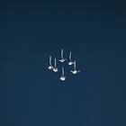 Catellani & Smith Jackie O Chandelier 6