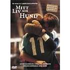 Mitt Liv Som Hund (DVD)