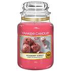 Yankee Candle Large Jar Roseberry Sorbet