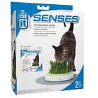 Cat It Senses Grass Garden