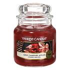 Yankee Candle Small Jar Crisp Campfire Apples