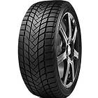 Delinte WD6 225/50 R 17 98T