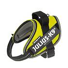 Julius K-9 IDC Color & Gray Belt Harness Mini Mini