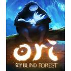 Ori and the Blind Forest (PC)