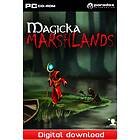 Magicka: Marshlands (Expansion) (PC)