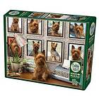 Cobble Hill Puzzles Yorkshireterrier 1000 Bitar