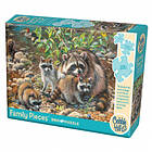 Cobble Hill Puzzles Raccoon Family 350 Bitar