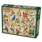 Cobble Hill Puzzles Populära Trädgårdsfåglar I Nordamerika 1000 Bitar