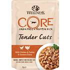 Wellness Pet Food Core Cat Tender Cuts Pouch 0.085kg
