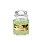 Yankee Candle Small Jar Lime & Coriander