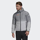 Adidas DSV Inmotion Hooded Jacket (Men's)