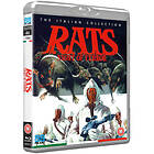 Rats - Nights Of Terror (UK) (Blu-ray)