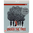 Under The Tree (BD+DVD) (UK)