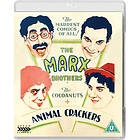 The Cocoanuts & Animal Crackers (UK) (Blu-ray)