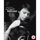 Au Hasard Balthazar: Criterion UK (UK) (Blu-ray)