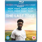 The Last Tree (UK) (Blu-ray)