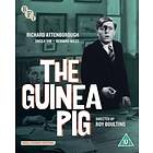 The Guinea Pig (BD+DVD)