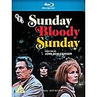 Sunday Bloody Sunday (UK) (Blu-ray)