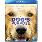 A Dog's Purpose (UK) (Blu-ray)