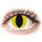 Gelflex Crazy Lens Cat Eye Yellow (2-pack)