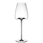 Zieher Vision Straight Vinglas 54cl