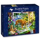 Bluebird Puzzle Pussel Tiger Coming To Life 1500 Bitar