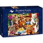 Bluebird Puzzle Pussel Kittens In The Potting Shed 1000 Bitar