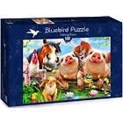 Bluebird Puzzle Pussel Petting Farm 500 Bitar