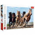 Trefl Galloping Horses 1000 Bitar