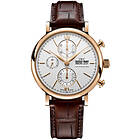 IWC IW391025