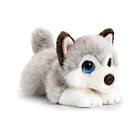 Keel Toys SD2458 Signature Cuddle Puppies Husky Small