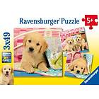 Ravensburger Cuddly Puppies 3x49 Bitar